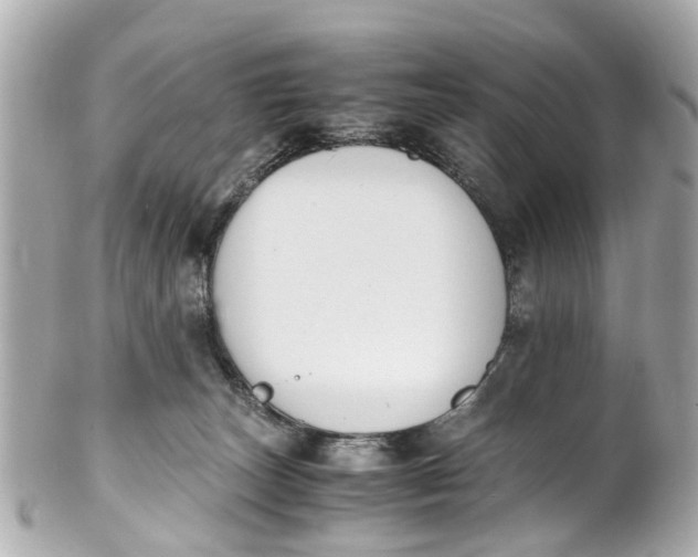 X0000101680179200807311527