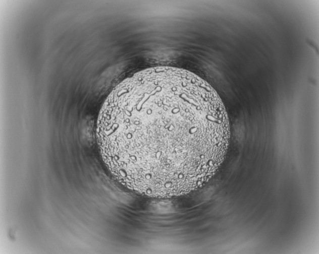 X0000101680181200807311527