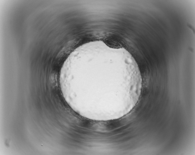 X0000101680182200807311527