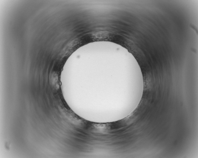 X0000101680187200807311527