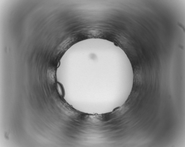 X0000101680188200807311527