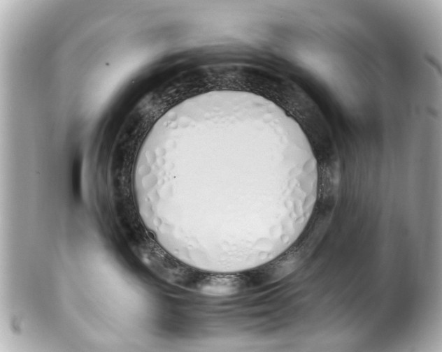 X0000101680189200807311527