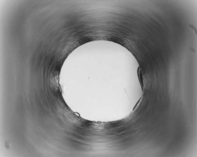 X0000101680190200807311527