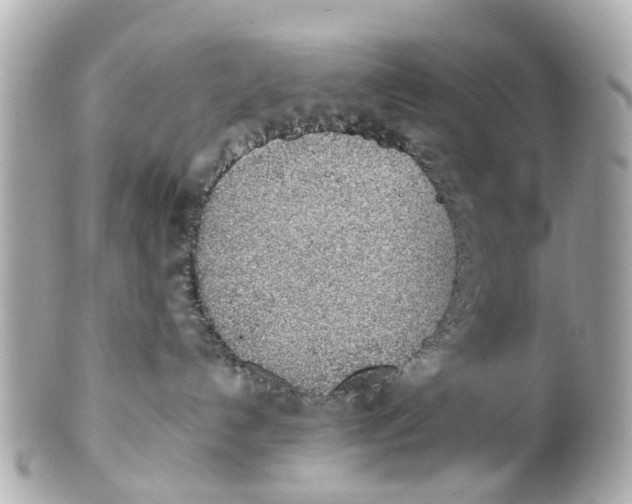 X0000101680192200807311527