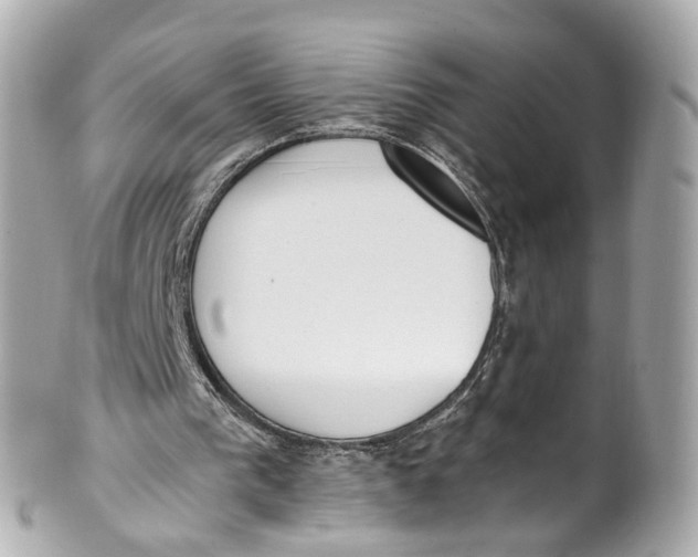 X0000101680193200807311526