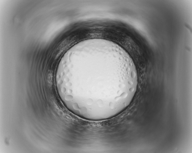 X0000101680194200807311526