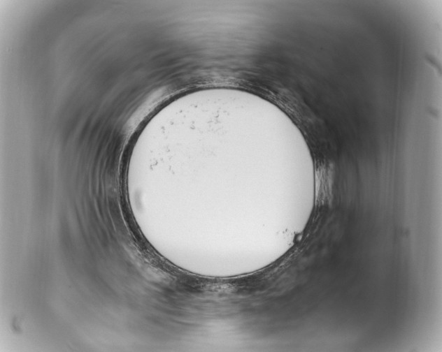 X0000101680195200807311526