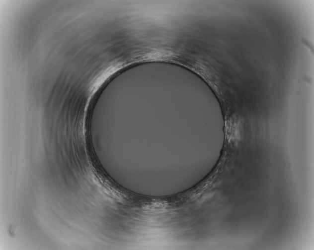 X0000101680196200807311526