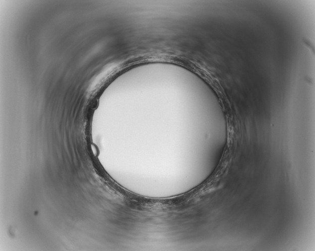 X0000101680197200807311526