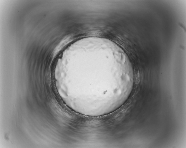 X0000101680198200807311526