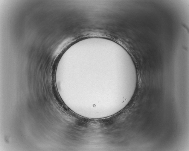 X0000101680199200807311526