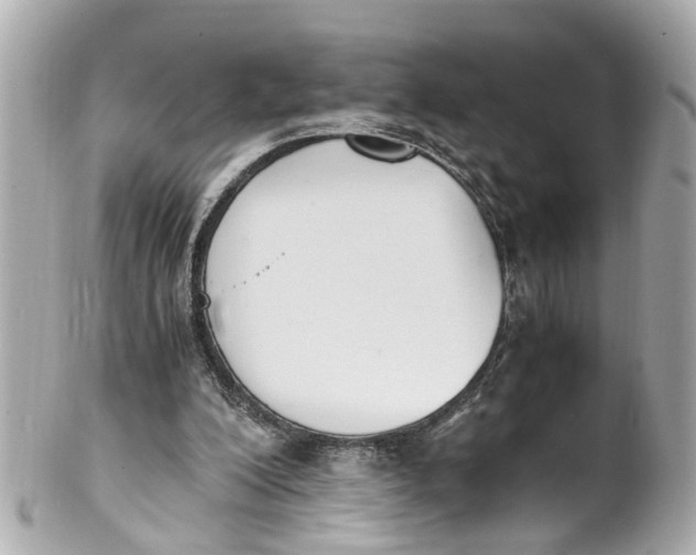 X0000101680200200807311526