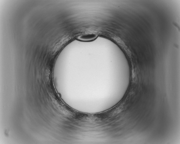 X0000101680201200807311526