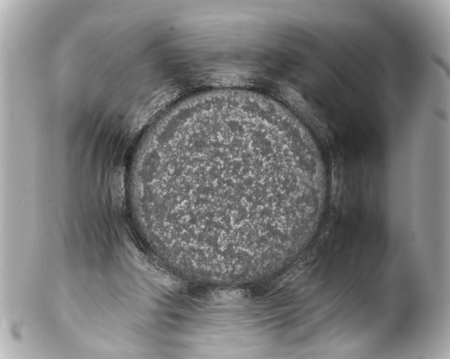 X0000101680202200807311526