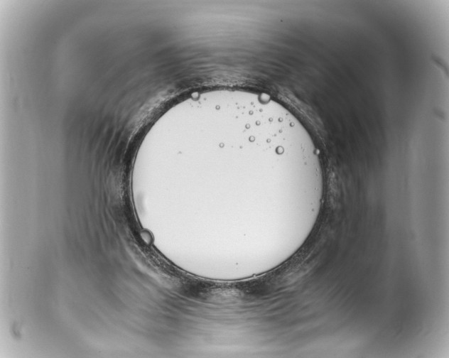 X0000101680203200807311526