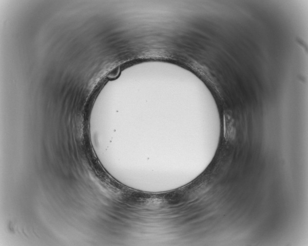 X0000101680204200807311526