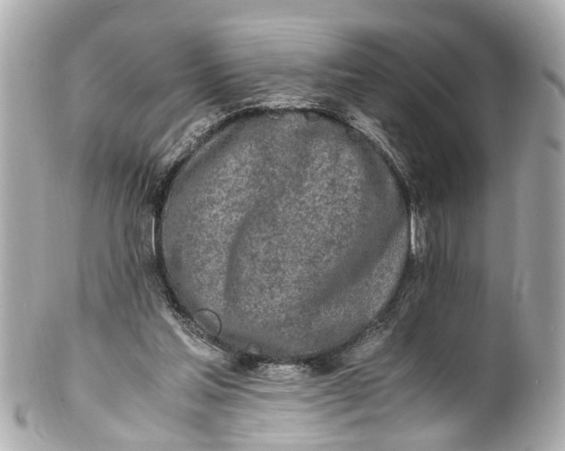 X0000101680205200807311526