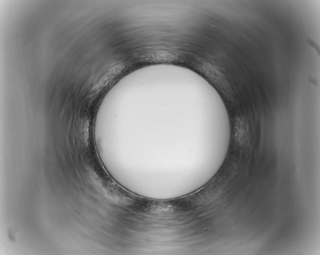 X0000101680206200807311526