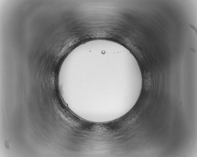 X0000101680207200807311526