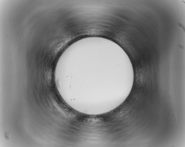 X0000101680208200807311526