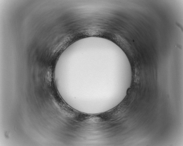 X0000101680210200807311526