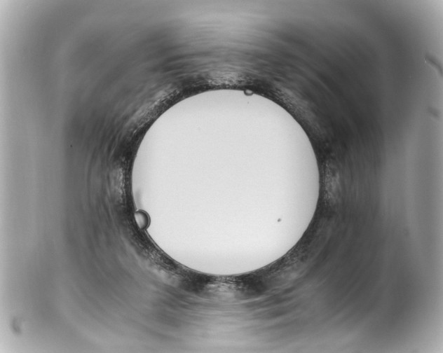 X0000101680211200807311526