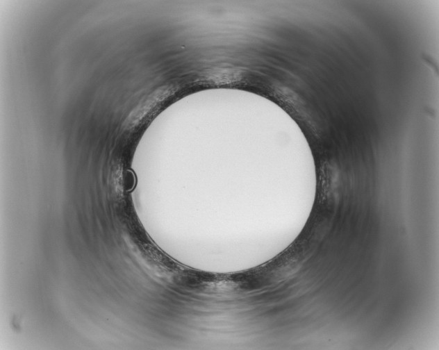 X0000101680212200807311526