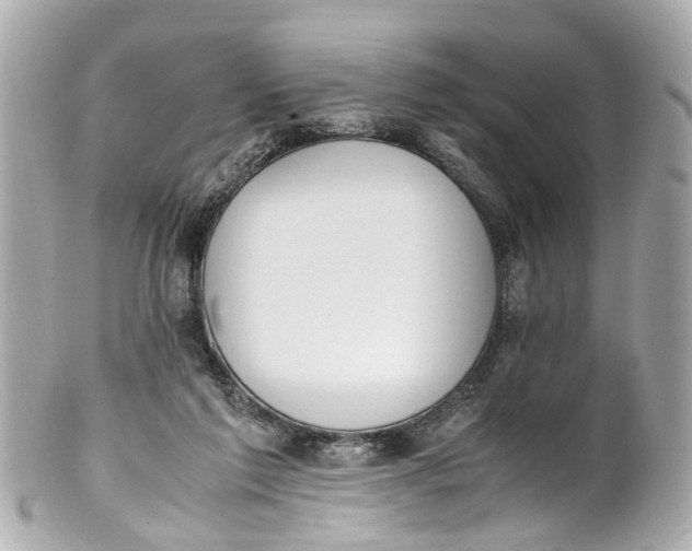 X0000101680213200807311526