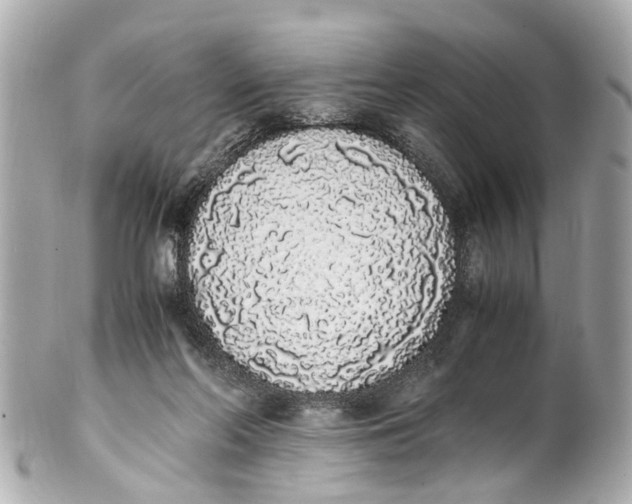 X0000101680214200807311526