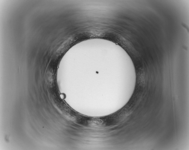 X0000101680215200807311526