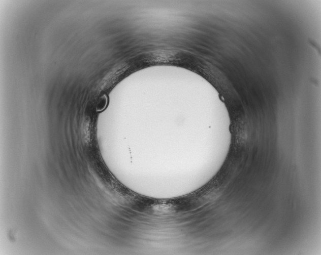 X0000101680216200807311526