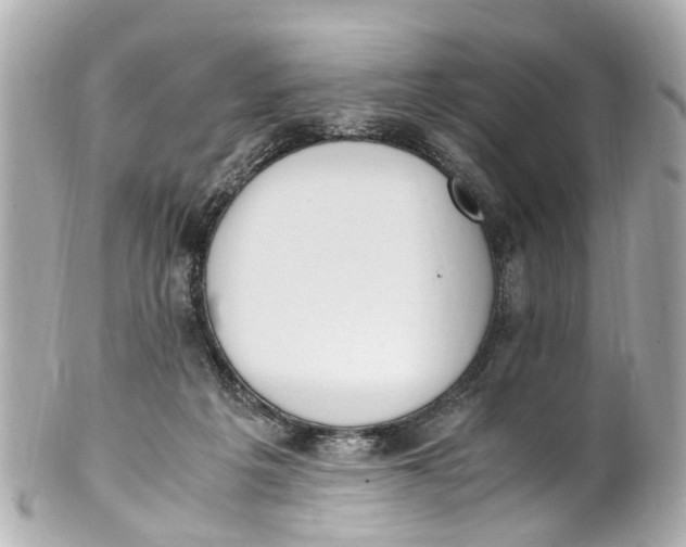 X0000101680217200807311526