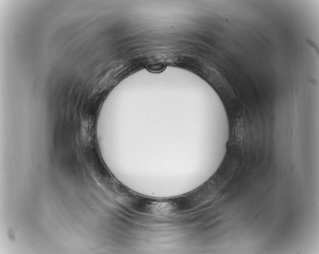 X0000101680218200807311526