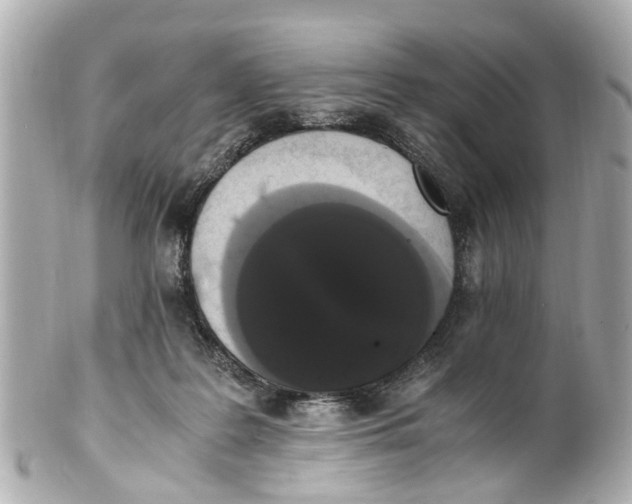 X0000101680219200807311526