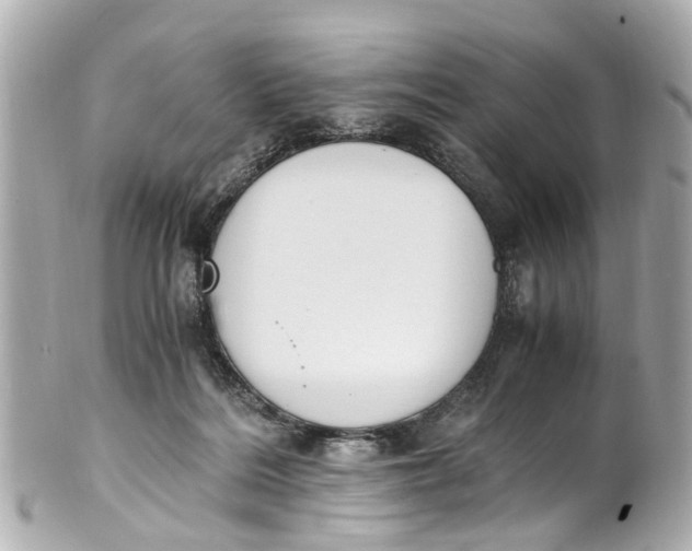 X0000101680220200807311526