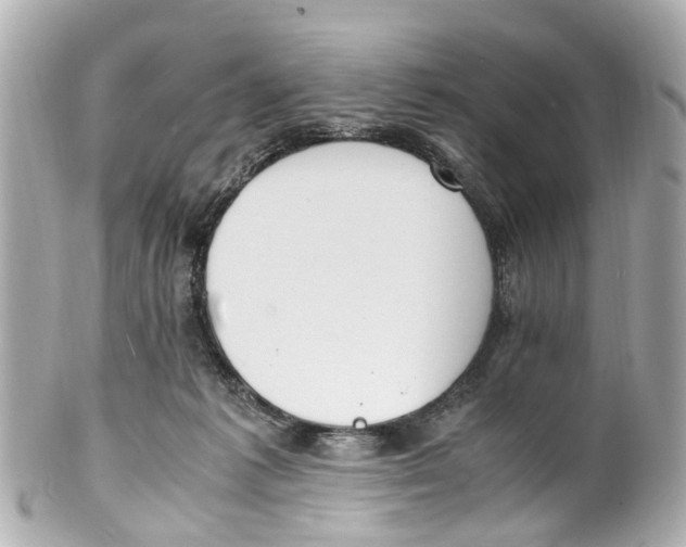 X0000101680221200807311526