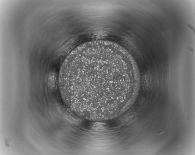 X0000101680222200807311526