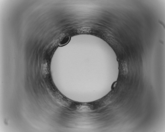 X0000101680224200807311526