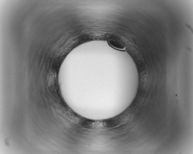 X0000101680225200807311526