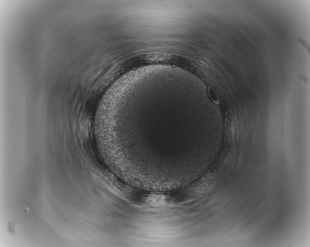 X0000101680227200807311526