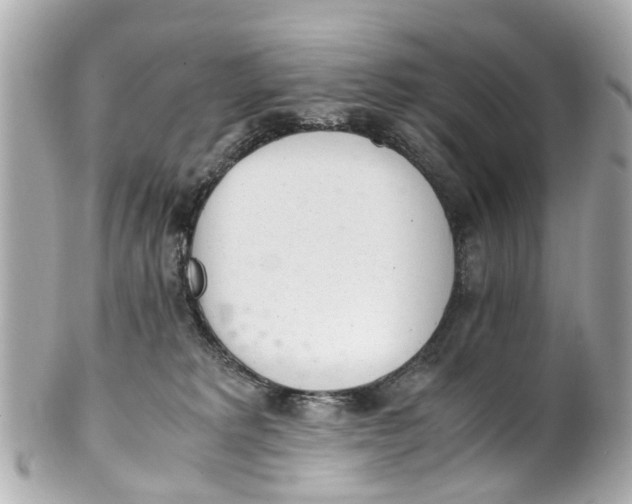 X0000101680229200807311526