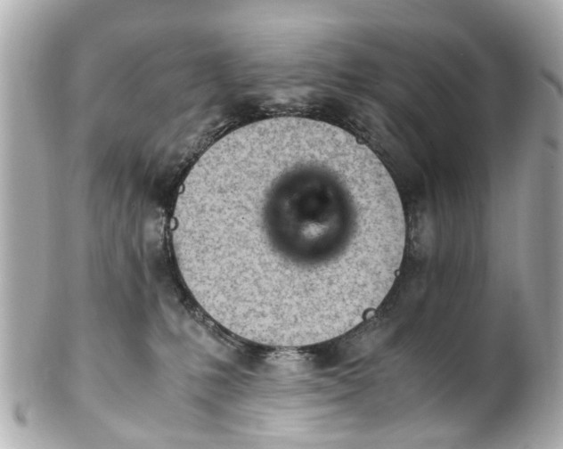 X0000101680231200807311526