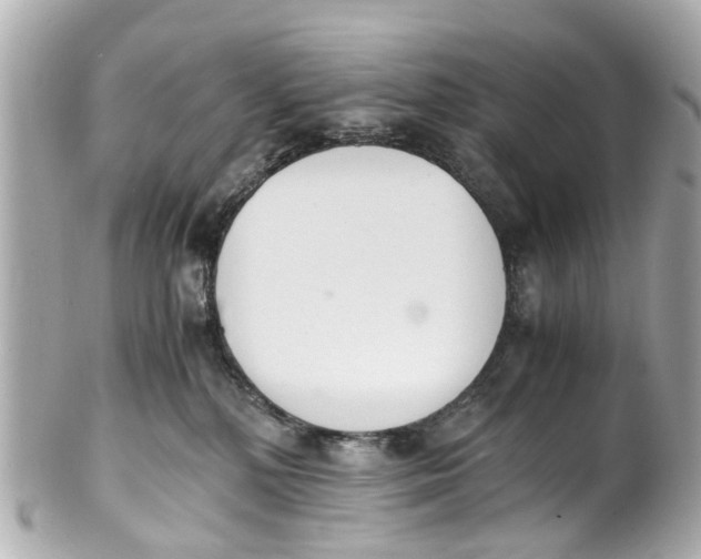 X0000101680232200807311526