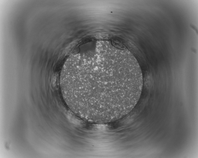 X0000101680233200807311526