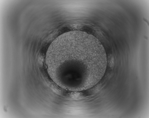 X0000101680235200807311526