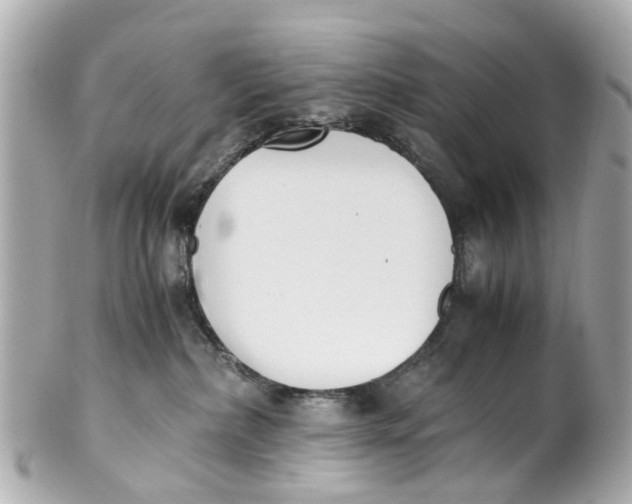 X0000101680236200807311526