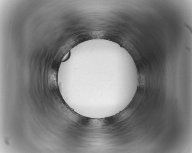 X0000101680238200807311526