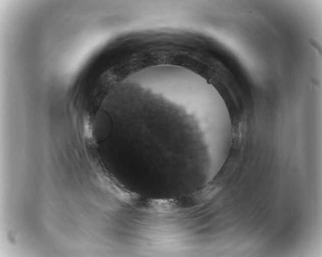 X0000101680239200807311526