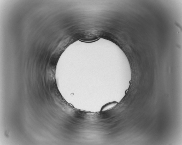 X0000101680240200807311526