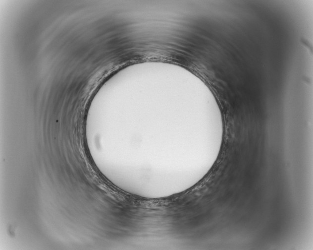 X0000101680241200807311525